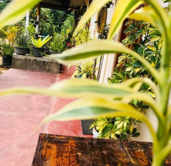 بنسيون Vegetable Garden House