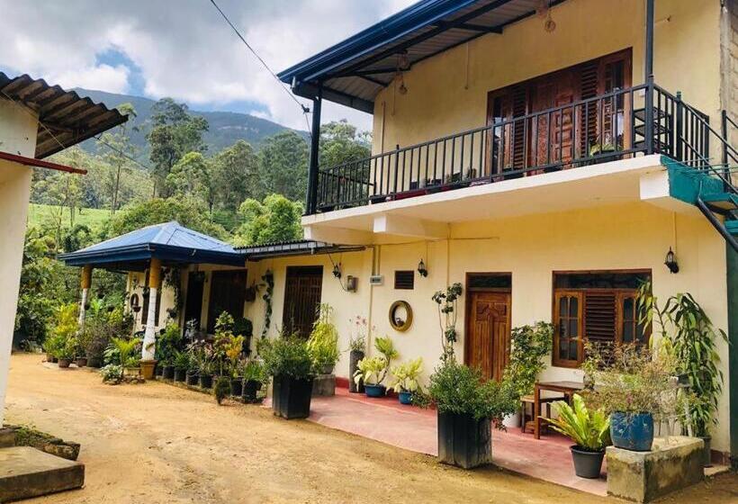 بنسيون Vegetable Garden House