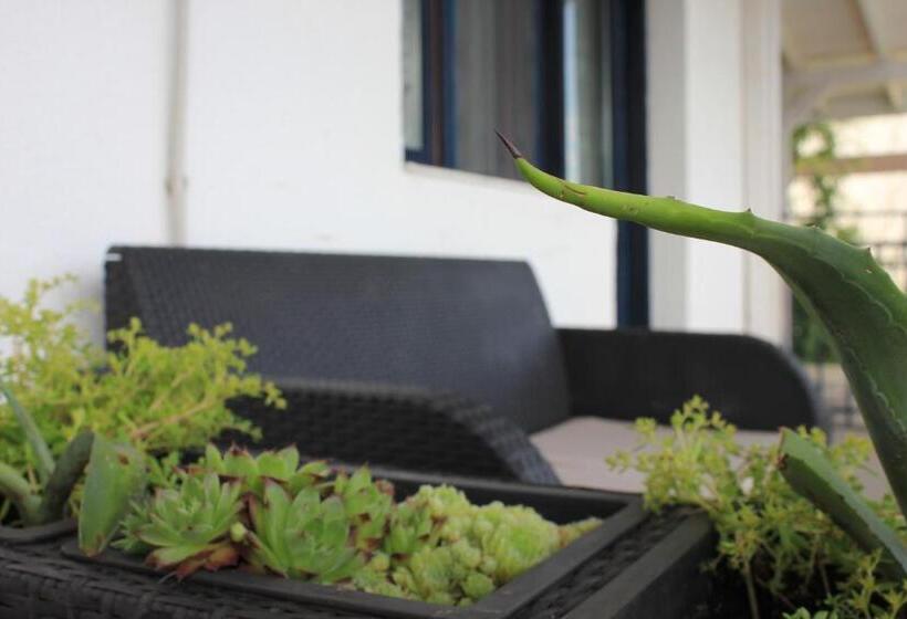 Пансион Vila Selina