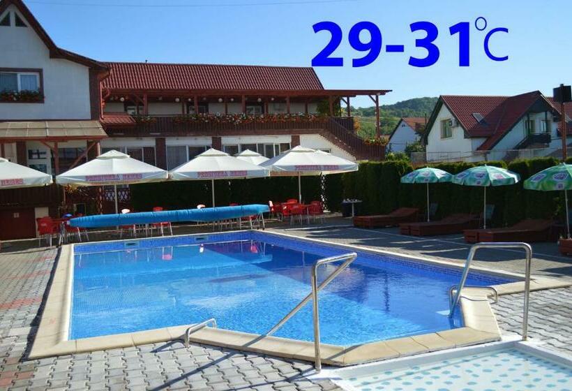 Bed and Breakfast Pensiunea Nemes Panzio