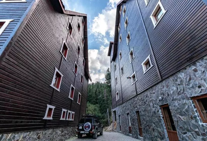 Hotelli маріна драгобрат