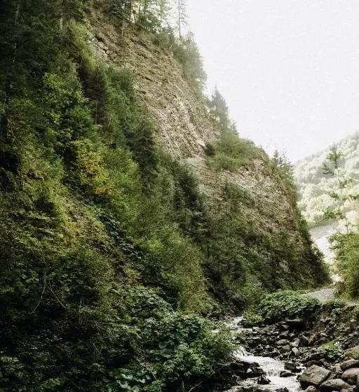 Hotelli маріна драгобрат