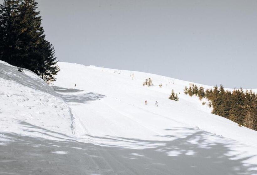 Hotel маріна драгобрат