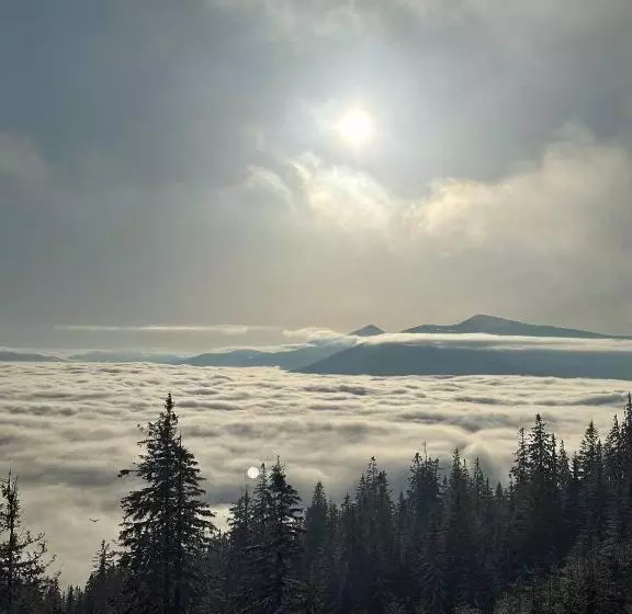 Hotelli маріна драгобрат