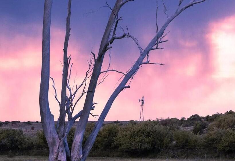 Hotel Garingboom Guest Farm