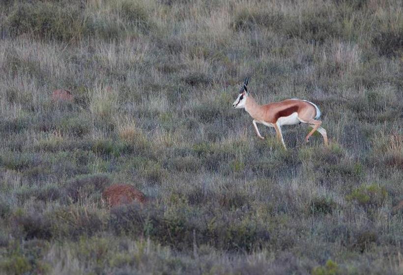 Hotel Garingboom Guest Farm