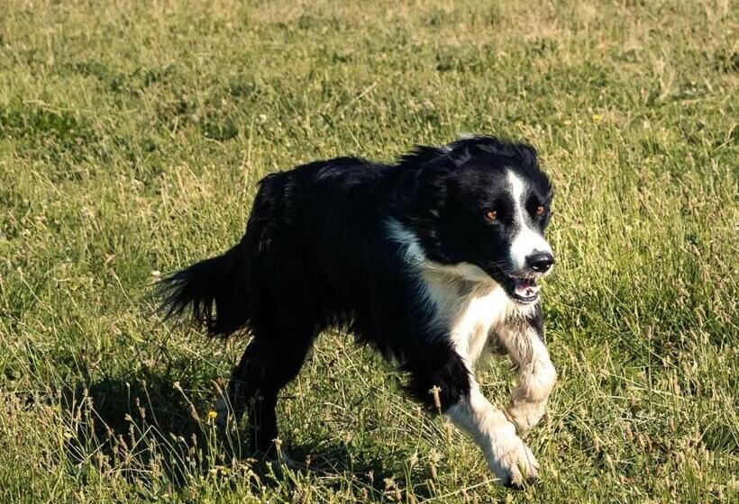 Hotel Garingboom Guest Farm