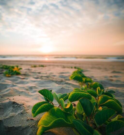 Отель Makani Vichayito