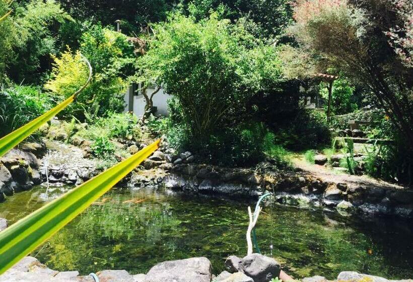 فندق Moinho Do Comandante