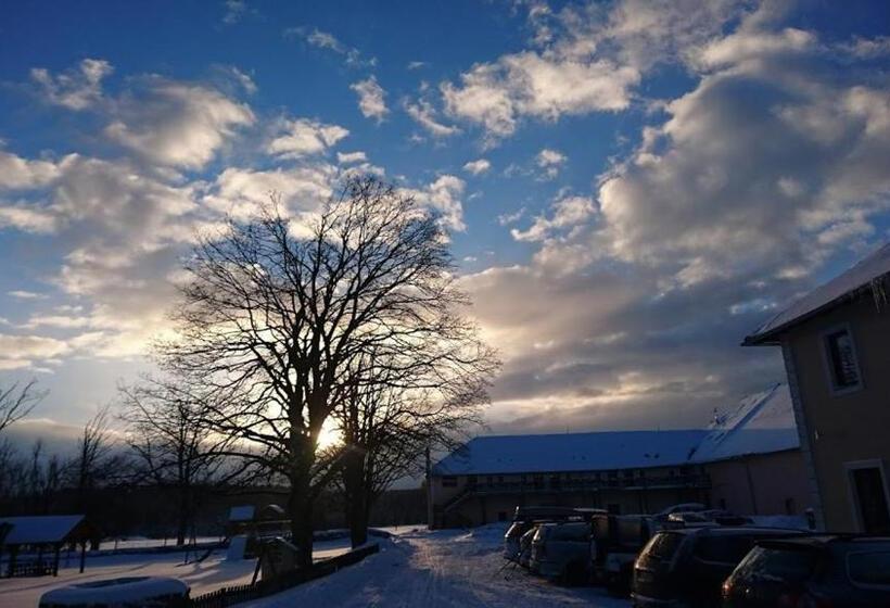 Пансион Bison Ranch