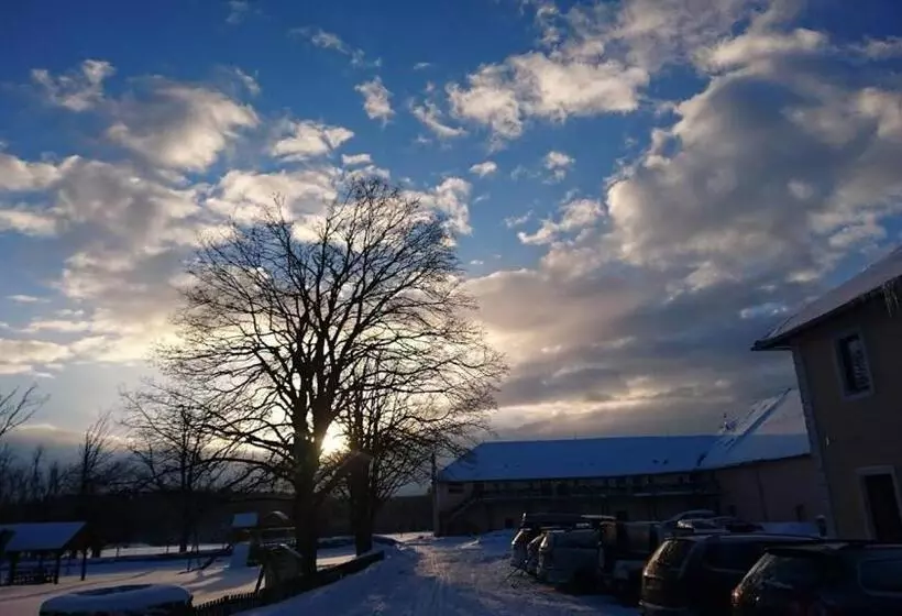 Majatalo Bison Ranch