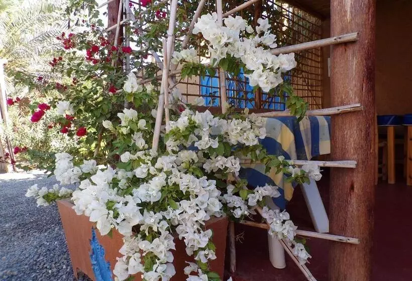 Majatalo La Maison De L Homme Bleu