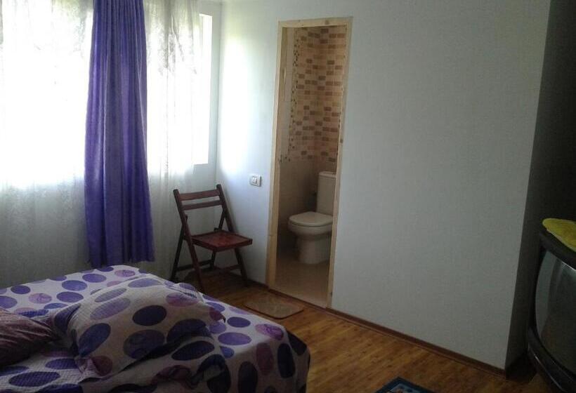 ペンション Nopti De Vara Transfăgărășan