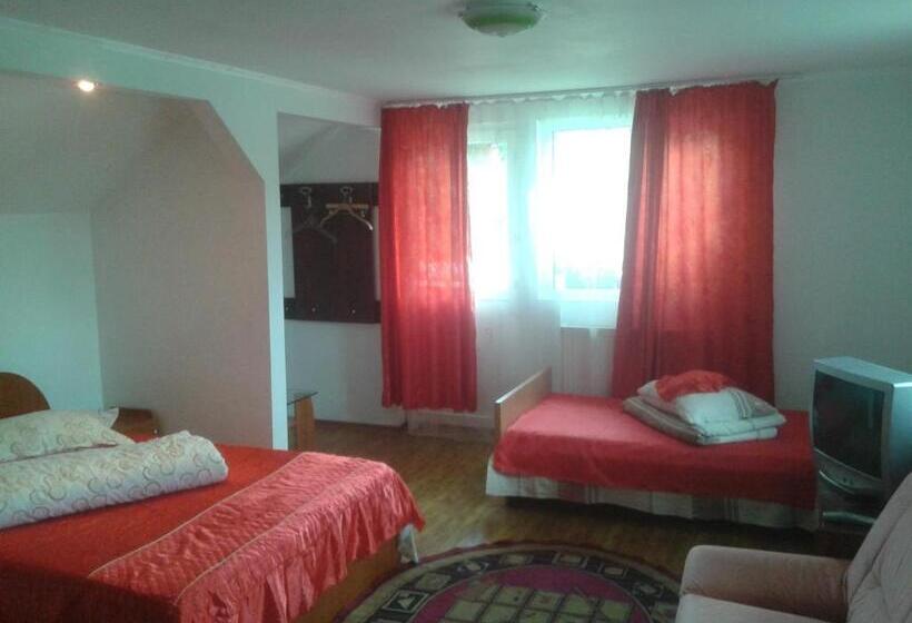 ペンション Nopti De Vara Transfăgărășan