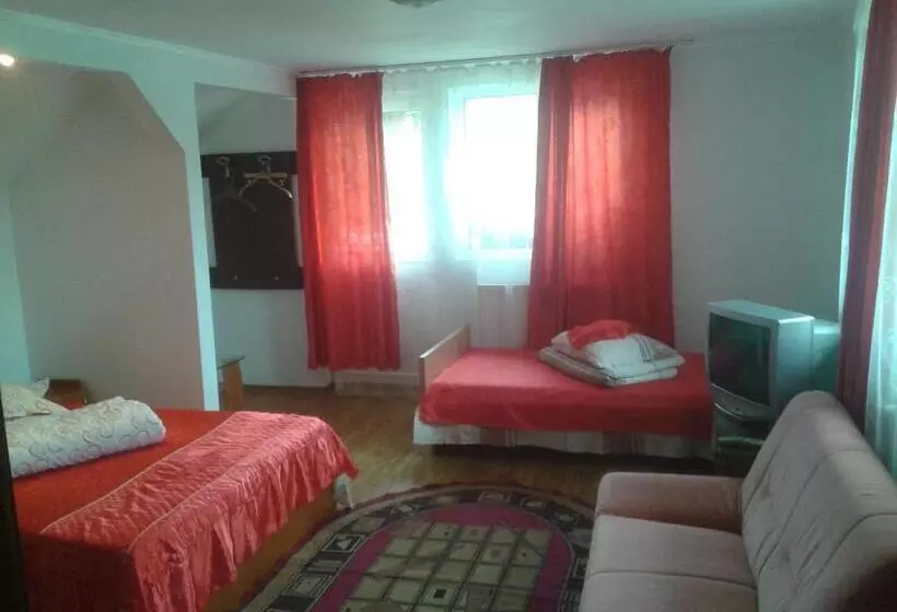 ペンション Nopti De Vara Transfăgărășan