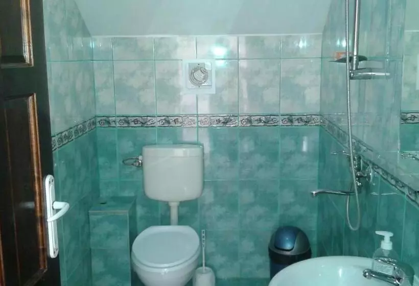 ペンション Nopti De Vara Transfăgărășan