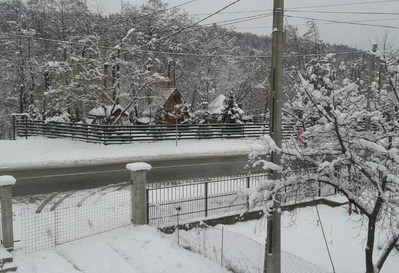 ペンション Nopti De Vara Transfăgărășan