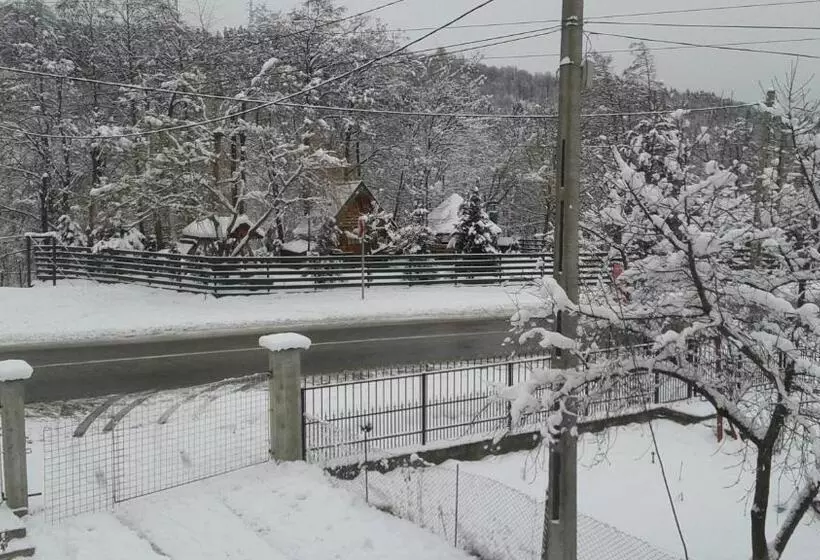 ペンション Nopti De Vara Transfăgărășan