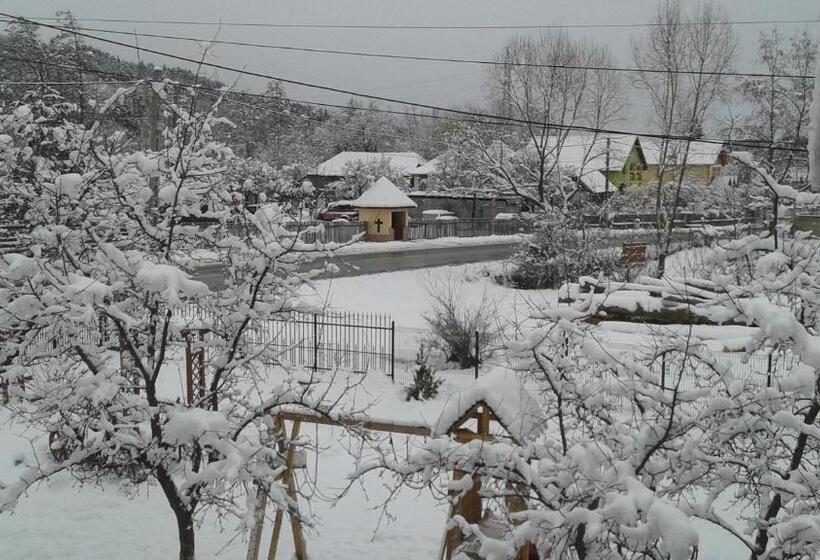 ペンション Nopti De Vara Transfăgărășan
