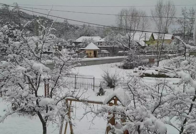 ペンション Nopti De Vara Transfăgărășan