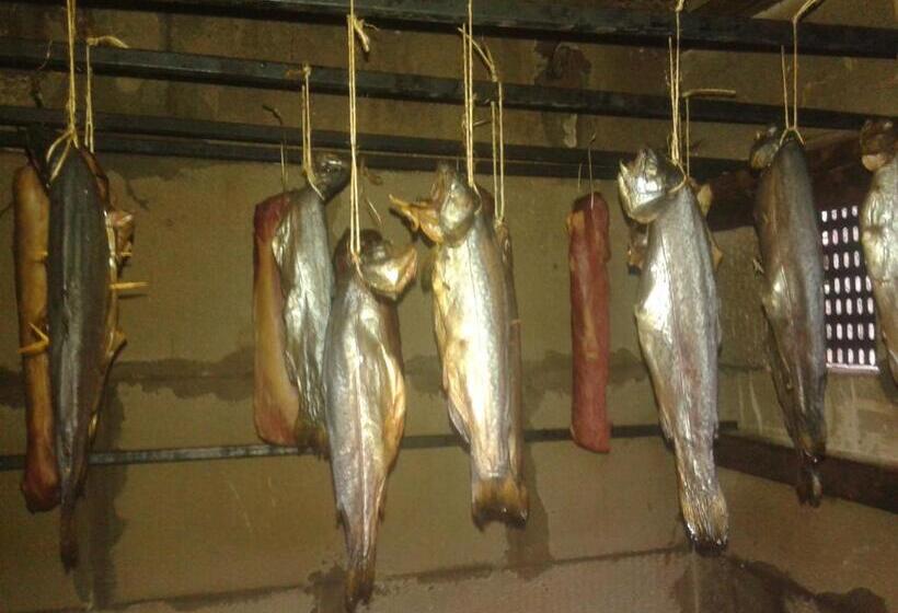 ペンション Nopti De Vara Transfăgărășan