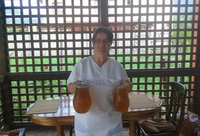 ペンション Nopti De Vara Transfăgărășan