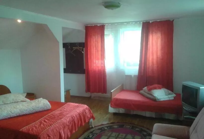 ペンション Nopti De Vara Transfăgărășan