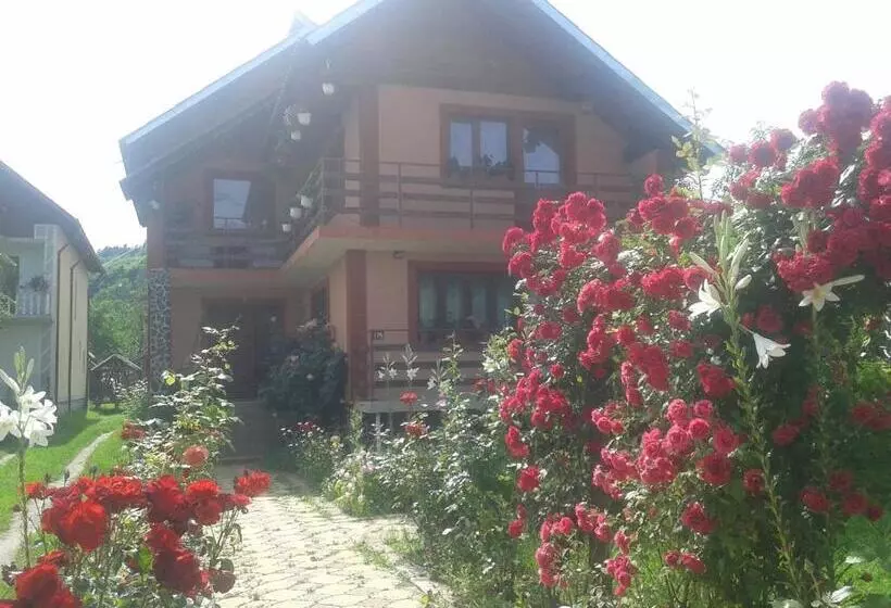 ペンション Nopti De Vara Transfăgărășan