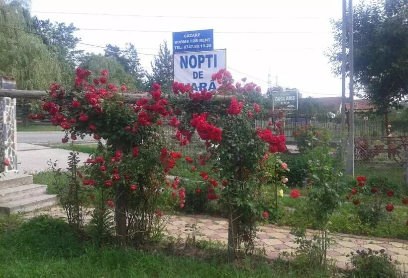 ペンション Nopti De Vara Transfăgărășan