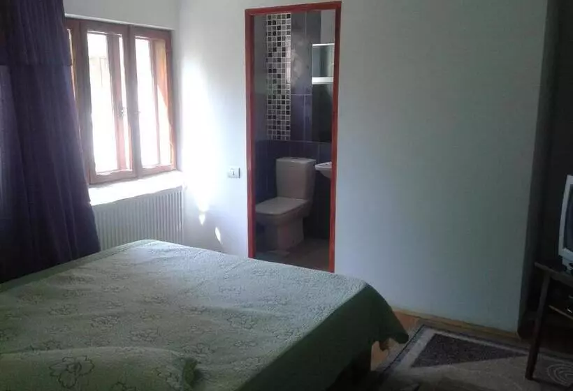 ペンション Nopti De Vara Transfăgărășan