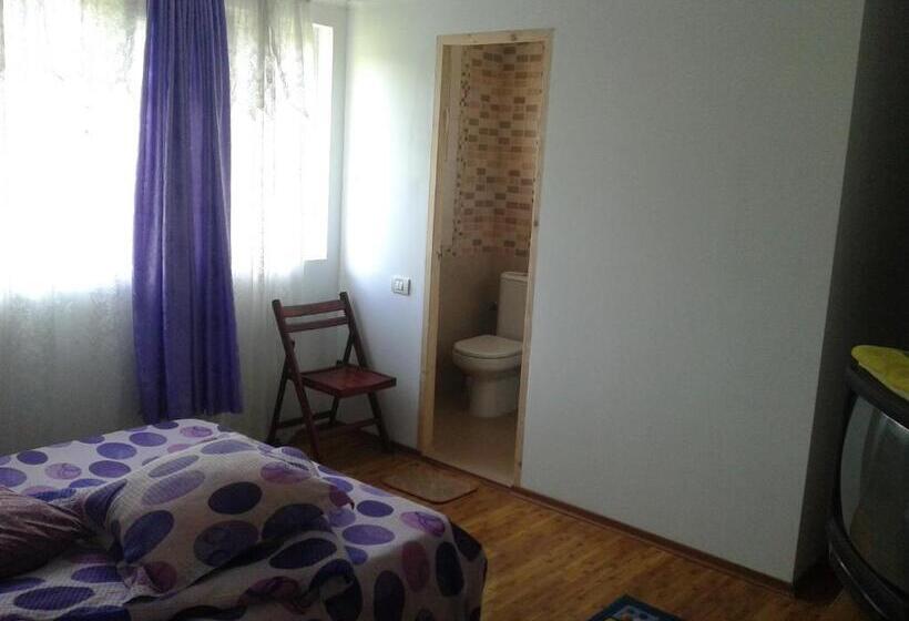 ペンション Nopti De Vara Transfăgărășan