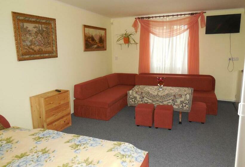 פנסיון Penzion Braun