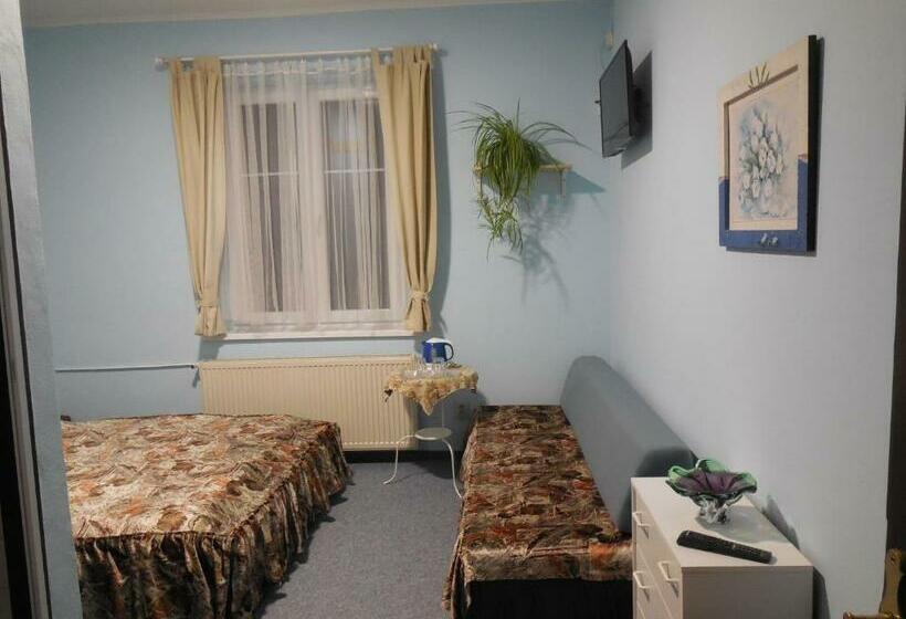 פנסיון Penzion Braun