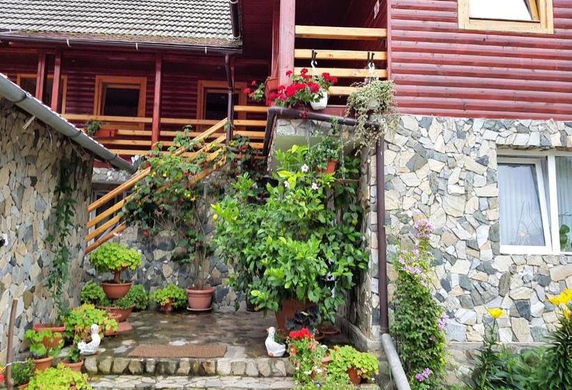 ペンション Podul Cetatii