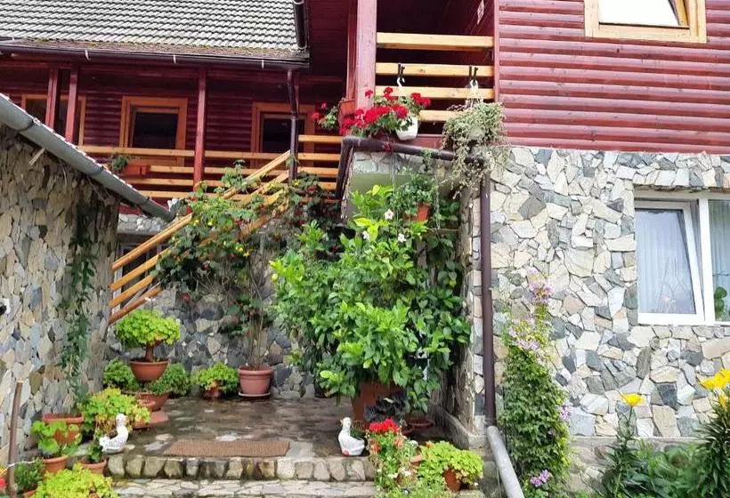 ペンション Podul Cetatii