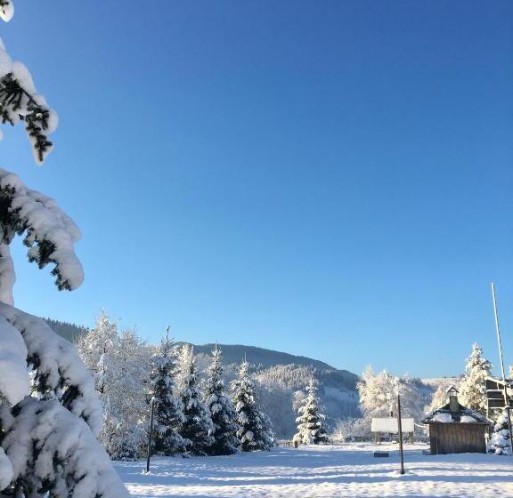 פנסיון Shum Cheremosha