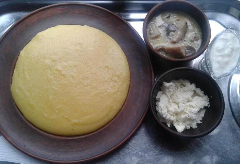 פנסיון Shum Cheremosha