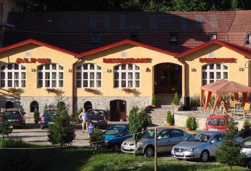 Pensiunea Alpin