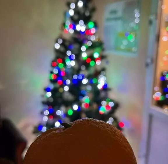 ユースホステル готель ас берегово