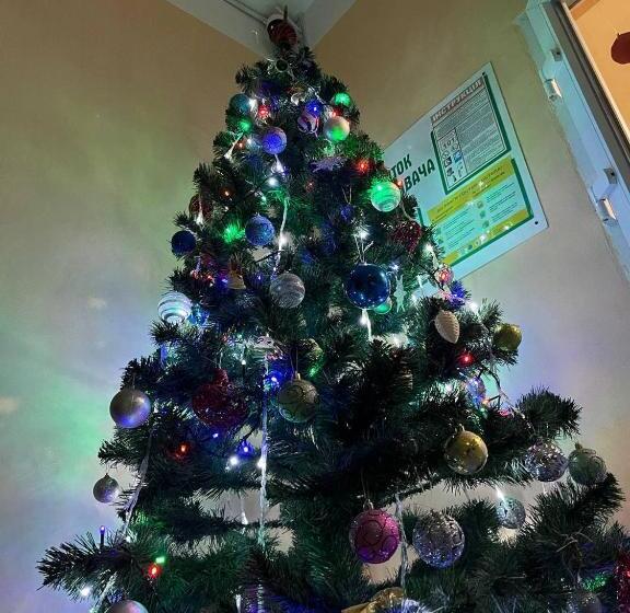 هاستل готель ас берегово