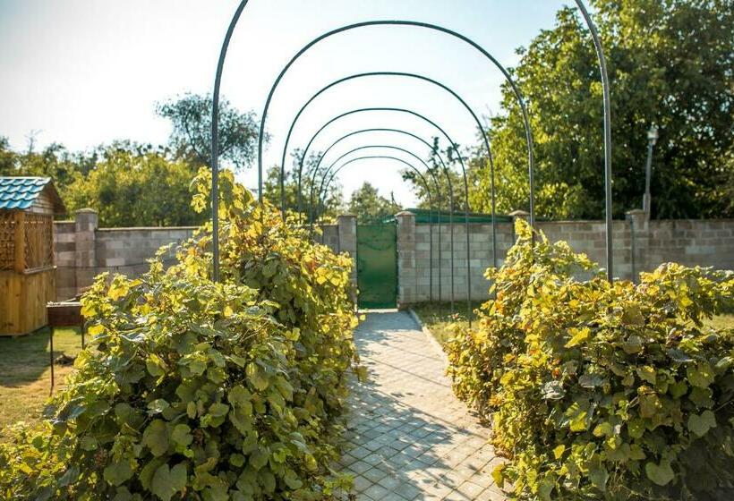 Общежитие Fermerska Hata