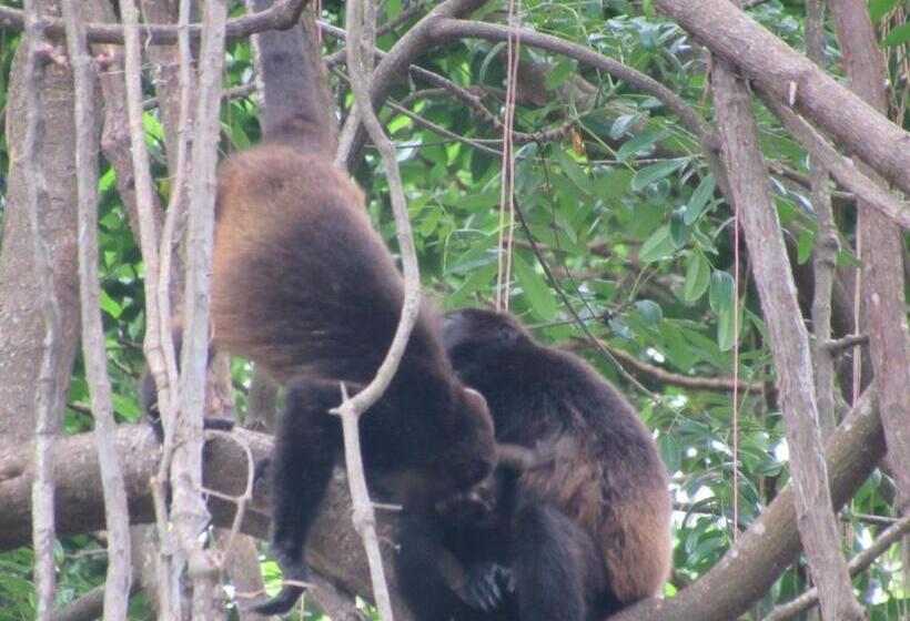 فندق صغير Hostal Eco Lodge La Chiponga