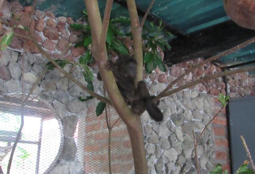 فندق صغير Hostal Eco Lodge La Chiponga