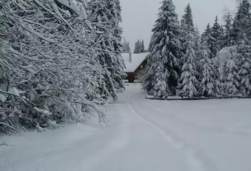 Aamiaismajoitus (B&B) Mofetta Panzió