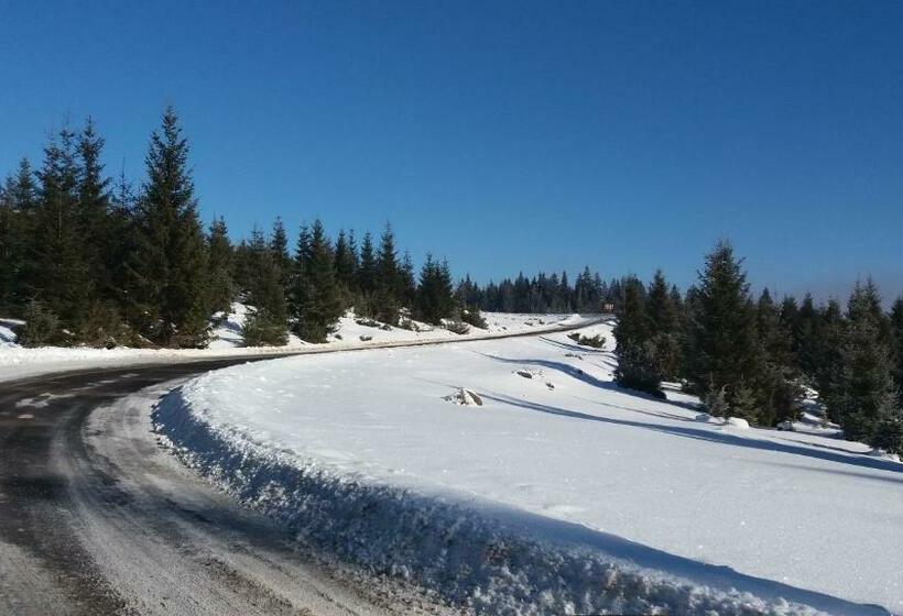 ベッドアンドブレックファースト Mofetta Panzió