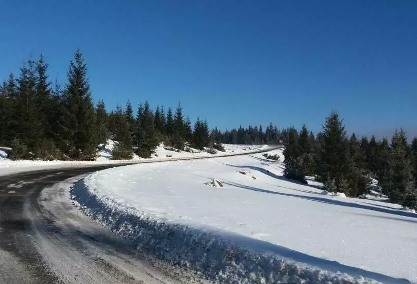 Aamiaismajoitus (B&B) Mofetta Panzió