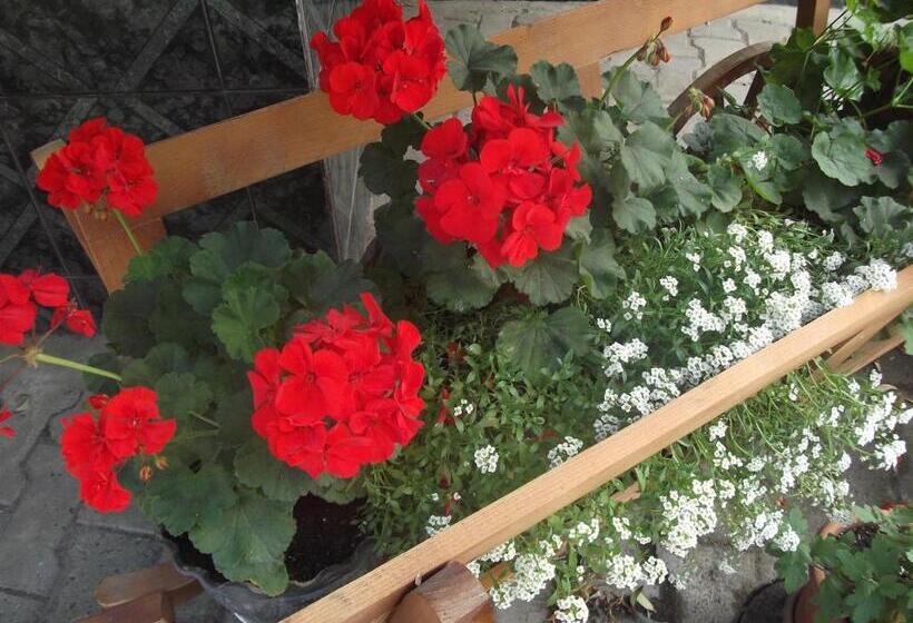 Hostel „la Galan”