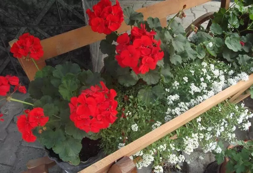 Hostel „la Galan”