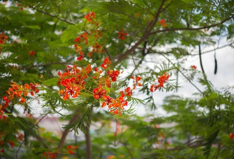 Hotel Ichapter Suvarnabhumi