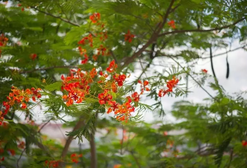 Hotelli Ichapter Suvarnabhumi